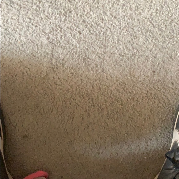 Meet your Posher, Lucas - Picture 1 of 1